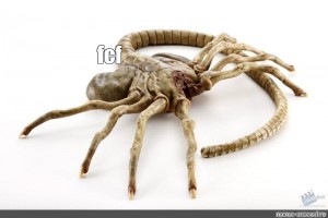 Create Meme Alien Facehugger Face Crab Thing Roots Pictures Meme Arsenal Com