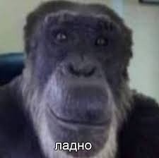 Create meme: boy, monkey