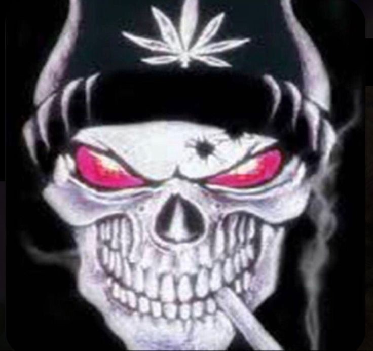 Create meme: skull with marijuana, death 666, caveira