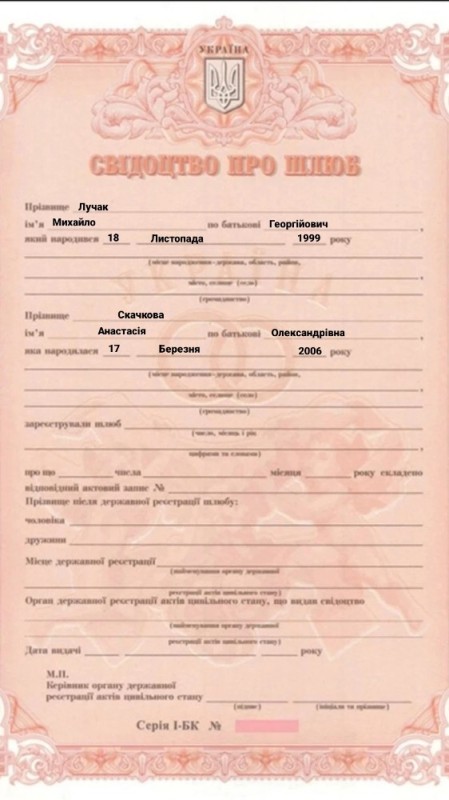 Create meme: certificate of marriage, marriage certificate template, empty marriage certificate