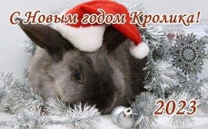 Создать мем: год кролика, с наступающим годом кролика, новогодние кролики
