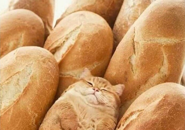 Создать мем: хлеб на столе, хлеб, хлеб хлеб