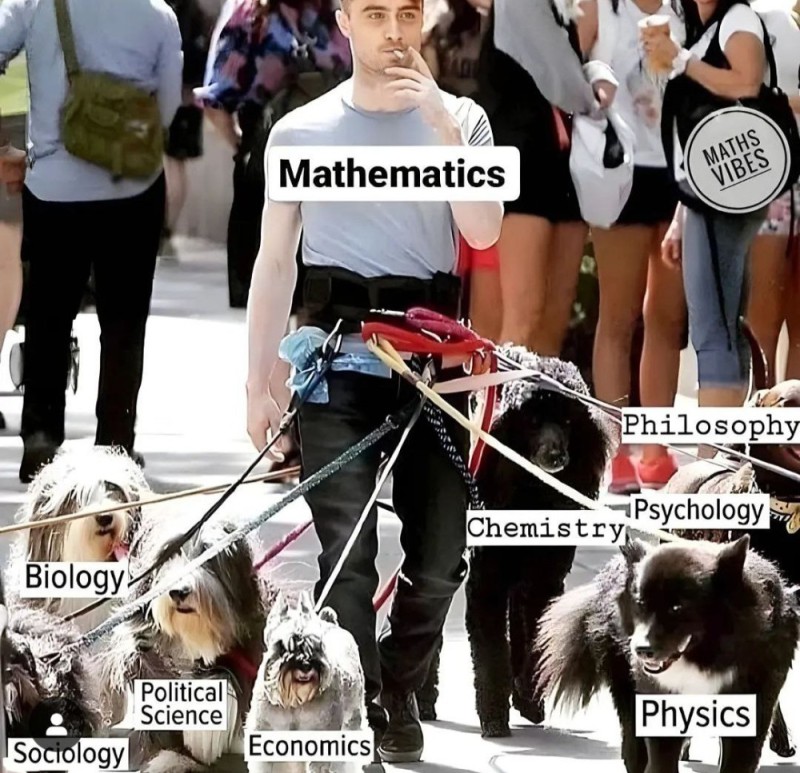 Create meme: Daniel Radcliffe with dogs, Daniel Radcliffe walks dogs, radcliffe with dogs