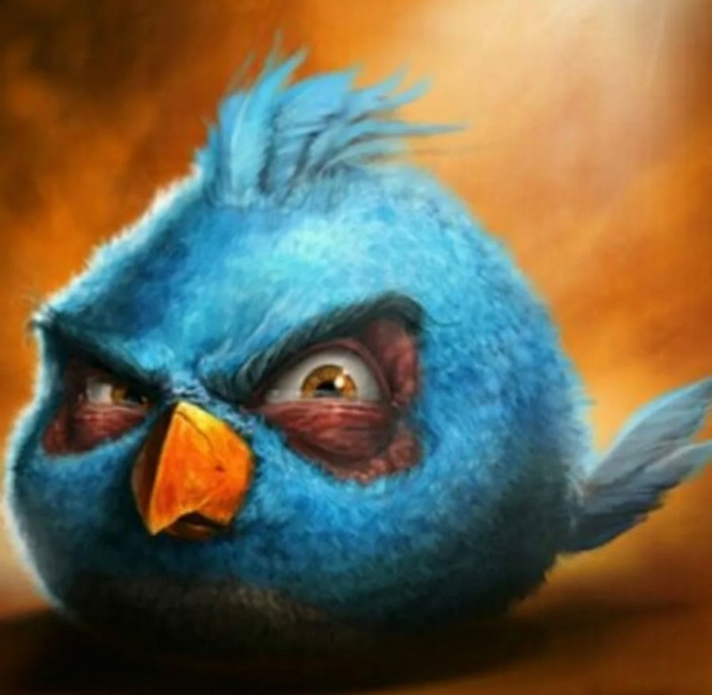 Create meme: mobile version, angry birds birds, birds angry birds 