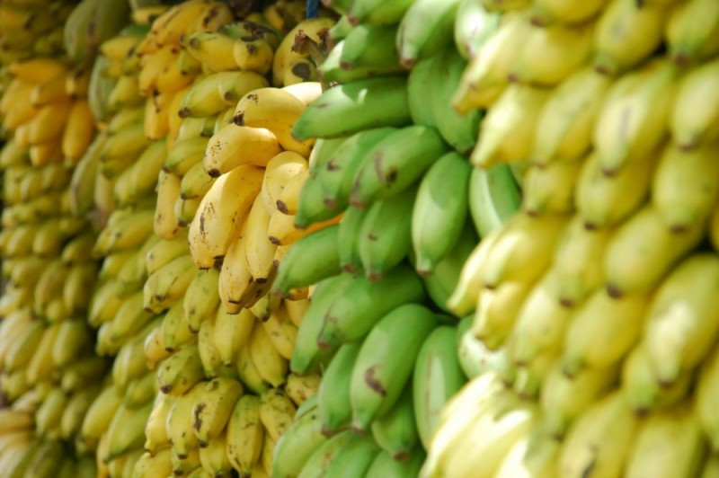 Create meme: bananas , ripe banana, ecuador bananas