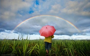 Create meme: sky grass, rainbow