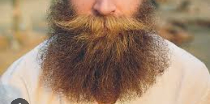 Create meme: beard , long beard, beard in Russia