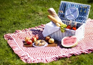 Create meme: summer picnic