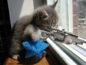Create meme: cat shoots pictures, kitty sniper, kitty shoots