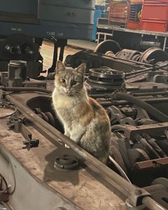 Создать мем: кот механик, кот паровоз, котенок на заводе