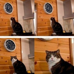 Создать мем: мем с котом и часами пора, кот и часы мем, мем с котом и часами