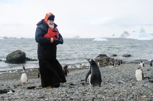 Создать мем: пингвин, Антарктида, патриарх в антарктиде с пингвинами