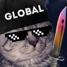 Create meme: meme cat in cs go and it exploded, kitty global, for cs go