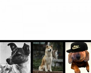 Создать мем: space doggo мем, первая собака космонавт лайка, собака лайка