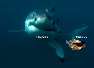 Создать мем: акула большая, акула акула, белая акула