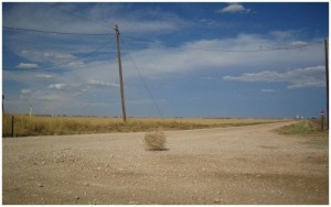 Create meme: meanwhile, tumbleweed, rolling stone