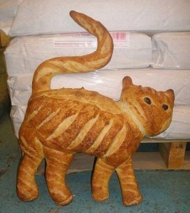 Create meme: bread, I am the bread, bread cat