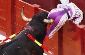 Create meme: bull, corrida, to take the bull by the horns meaning