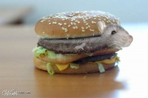 Mc Pussy Burger