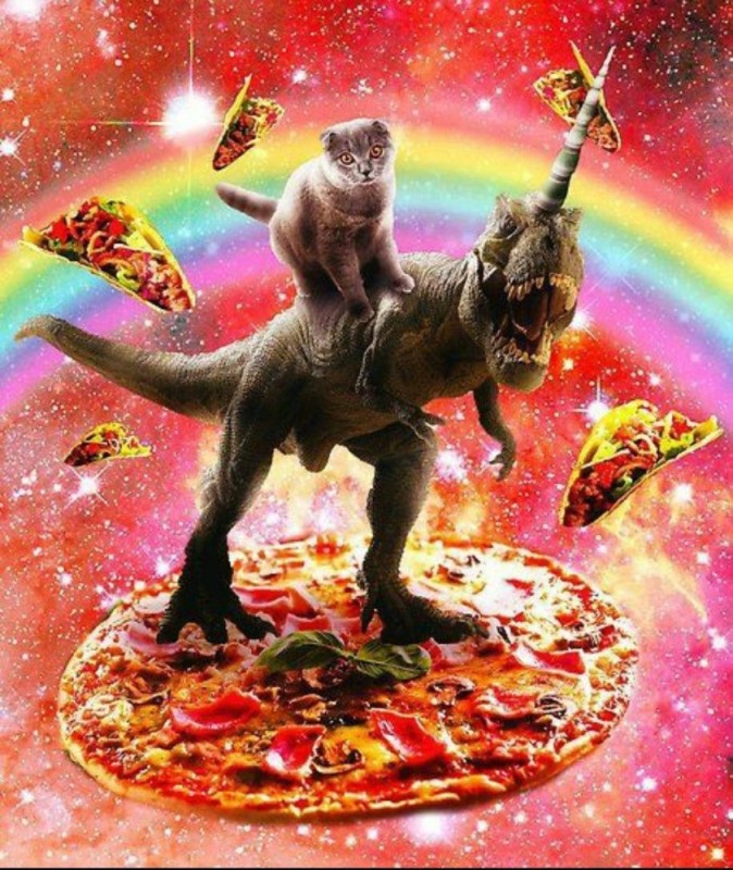 Создать мем: космос кот, кот на пицце в космосе, unicorn pizza