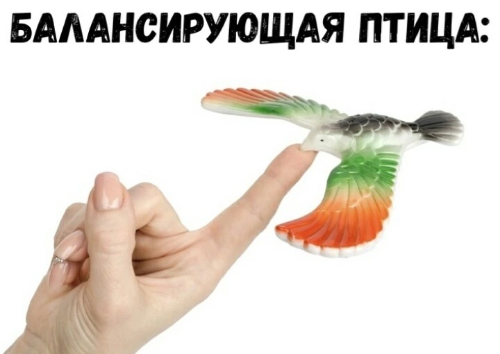 Create meme: balancing bird, bird balancer, toy bird