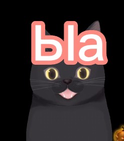 Создать мем: черный кот, кошка, cat