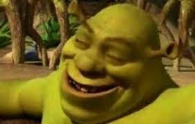 Create meme: Shrek meme face, Shrek Shrek, Shrek in the swamp