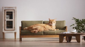 Create meme: kucing, furniture, cat