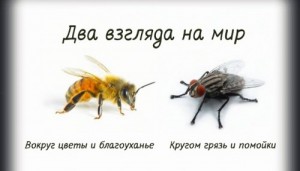 Создать мем: Пчела и муха