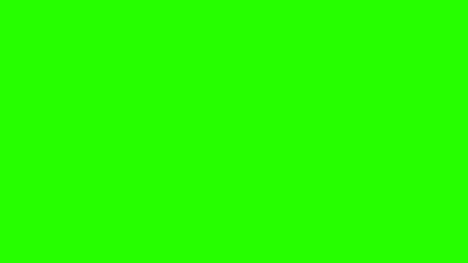Create meme: on a green background, chromakey green, light green
