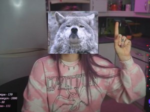 Create meme: wolf wolf, wolf, meme wolf