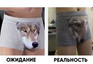 Create meme: underwear wolf, briefs by wolf meme