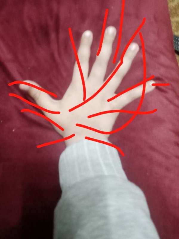 Create meme: signs on the hand, hand of the line, palm