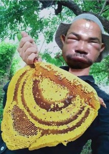 Создать мем: пчела я пчеловод, я пчеловод, Человек