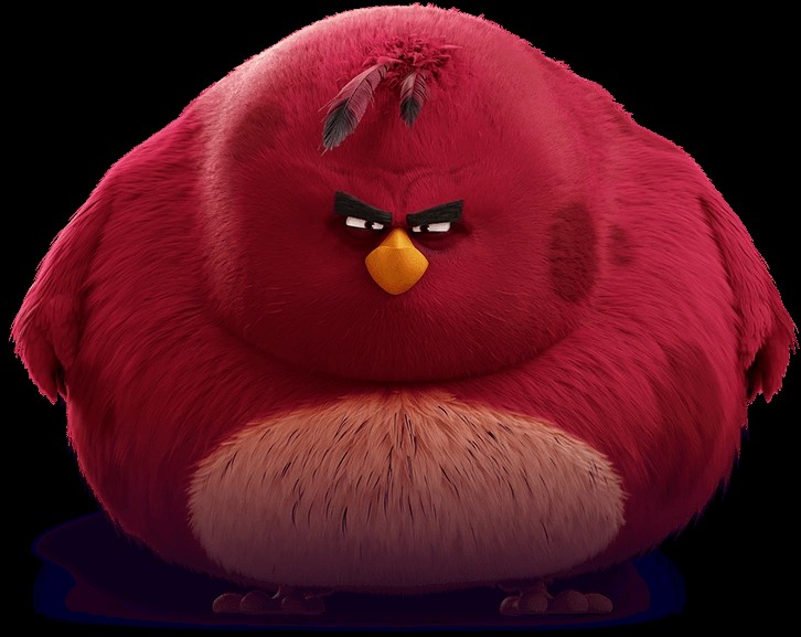 Create meme: Terence angry birds, angry birds in the movies, angry birds 