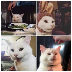 Создать мем: мем кот недовольный, мем с котом за столом, мем котик в ресторане