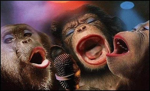 Create meme: three monkeys sing, happy monkey, funny monkeys sing karaoke