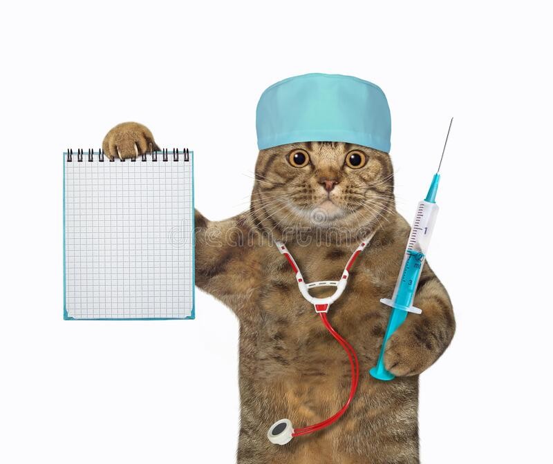 Create meme: kitty medic, the cat is sick, a domestic cat
