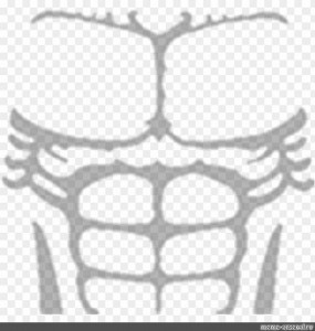 Roblox Abbs Png - Musculoso T Shirt Roblox - Free Transparent PNG Download  - PNGkey in 2023