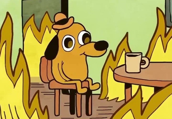 Create meme: meme dog on fire, meme dog in a burning house, a dog in a burning house