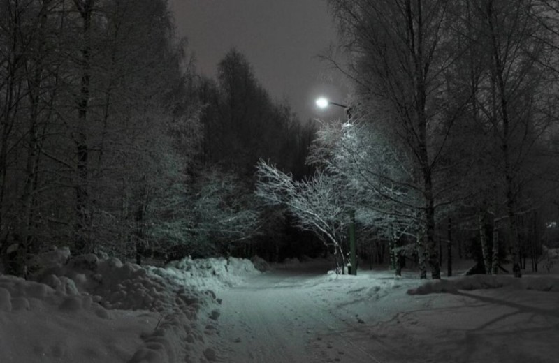 Create meme: night winter, night forest in winter, a night in the winter forest