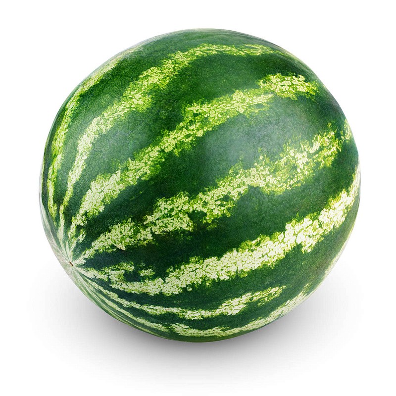 Create meme: watermelon watermelon, watermelons, watermelon on white background