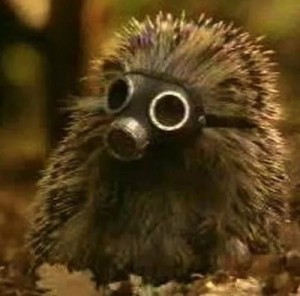 Create meme: hedgehogs in gas masks, a hedgehog in a gas mask