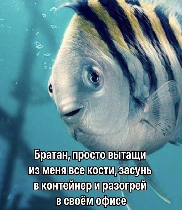 Create meme: flounder fish, fish , fish 