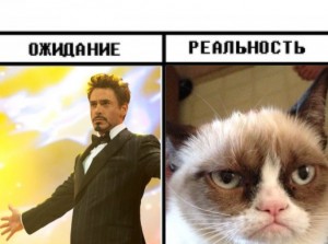 Create meme: sad cat meme, Robert Downey Jr. meme, meme Robert Downey