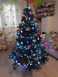 Создать мем: елки реальные фото, christmas tree, красивая новогодняя елка