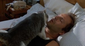Create meme: Bruce Willis, Bruce Willis with a cat, Cat