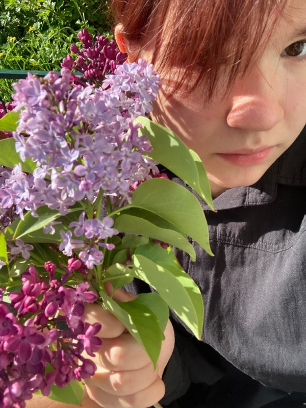 Create meme: lilac blooming, lilac of victory, lilac charles joly