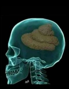 Create meme: meme brain , the human brain, brainwashing