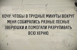 Создать мем: два способа победить в споре с женщиной, юмор, цитаты строителей